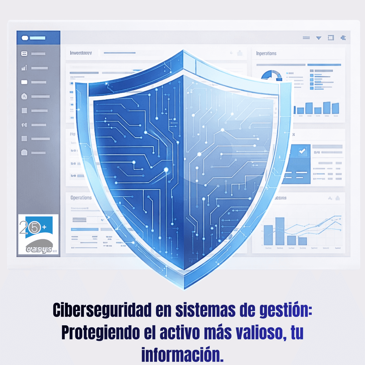 Ciberseguridad en sistemas de gestión: Protegiendo el activo más valioso, tu información