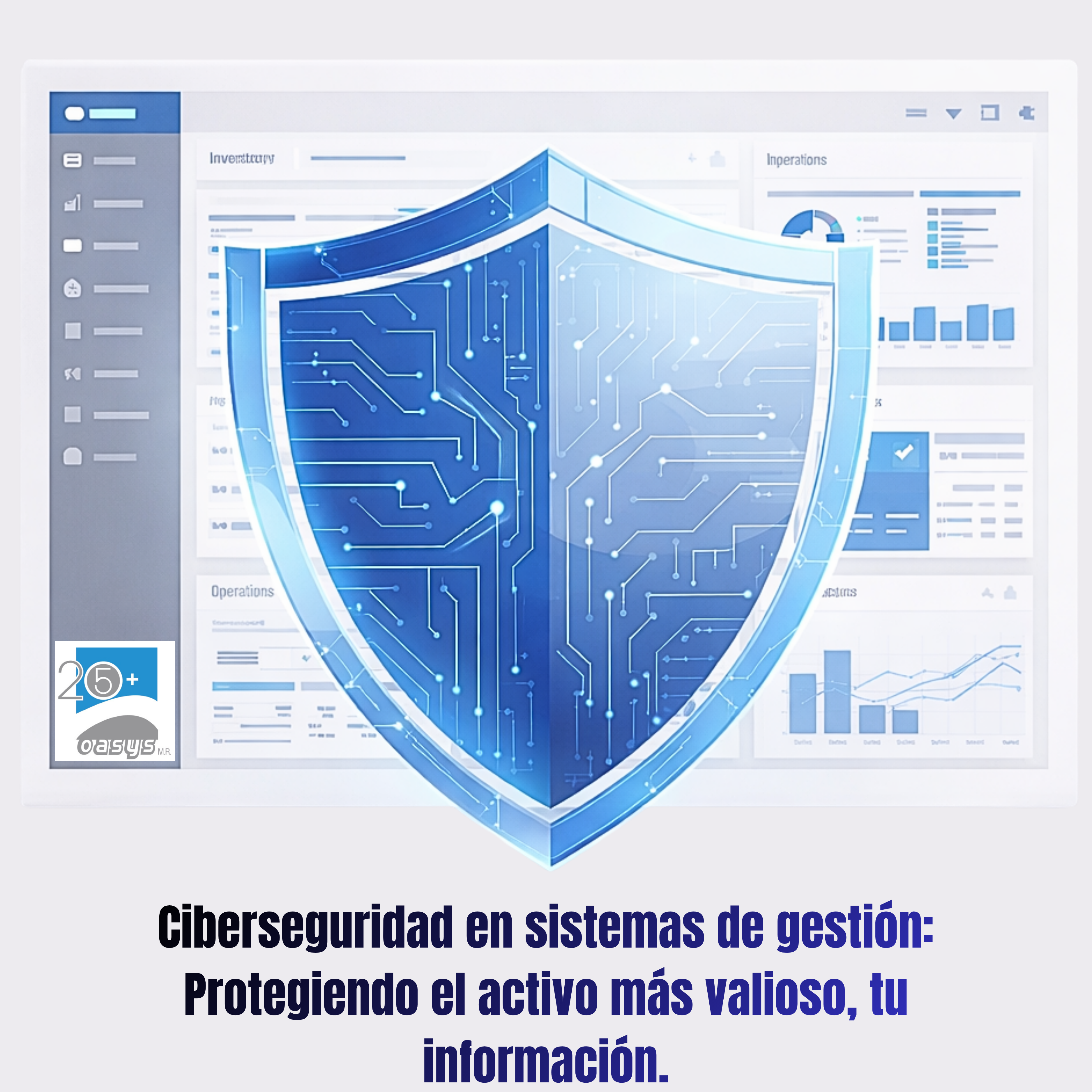 Ciberseguridad en sistemas de gestión: Protegiendo el activo más valioso, tu información