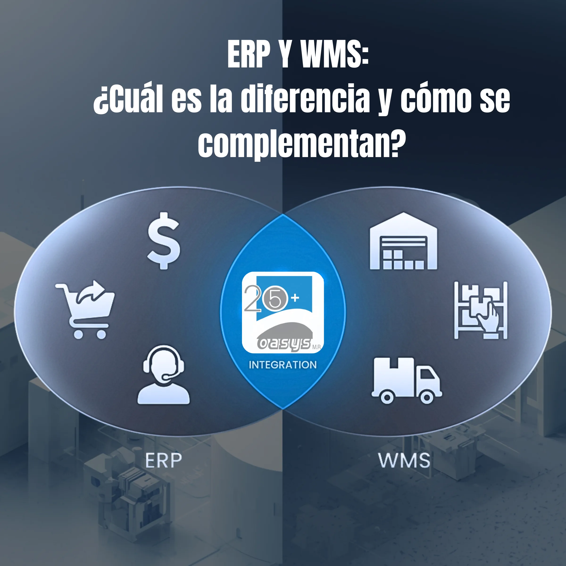 ERP vs. WMS: What Is the Difference and How Do They Complement Each Other?